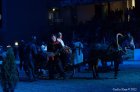 Horse Show 07.10.2012